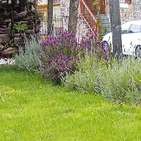 Vicario Etxea Villa Concha  Dış mekan fotoğraf